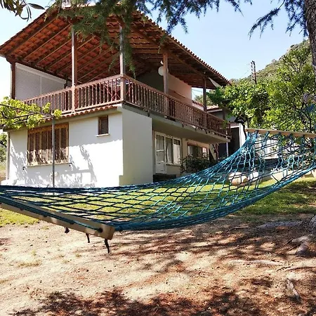 Leaves * Nea Iraklitsa