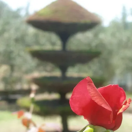 Dom wakacyjny Leaves Nea Iraklitsa