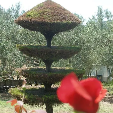 بيت للعطل Leaves *