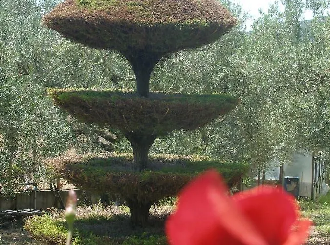 Casa de Férias Leaves *